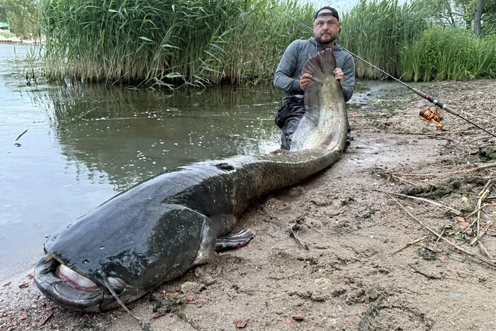 Polski wędkarz złapał gigantycznego suma