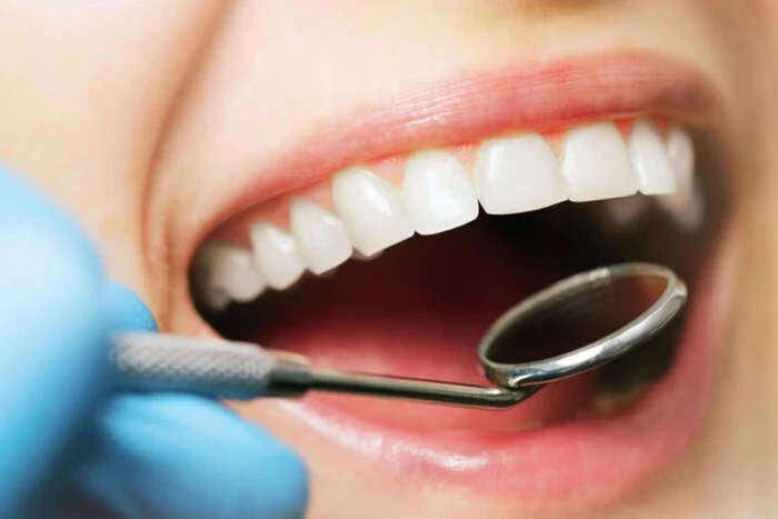 Samples of grown human teeth in the laboratory